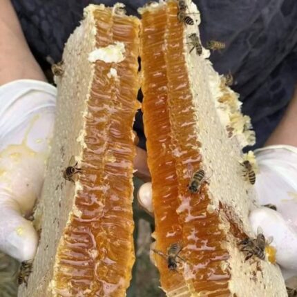 প্রাকৃতিক চাকের মধু